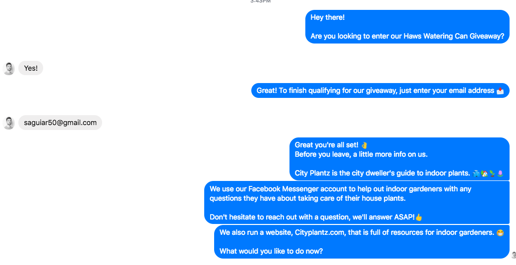 facebook messenger bot example